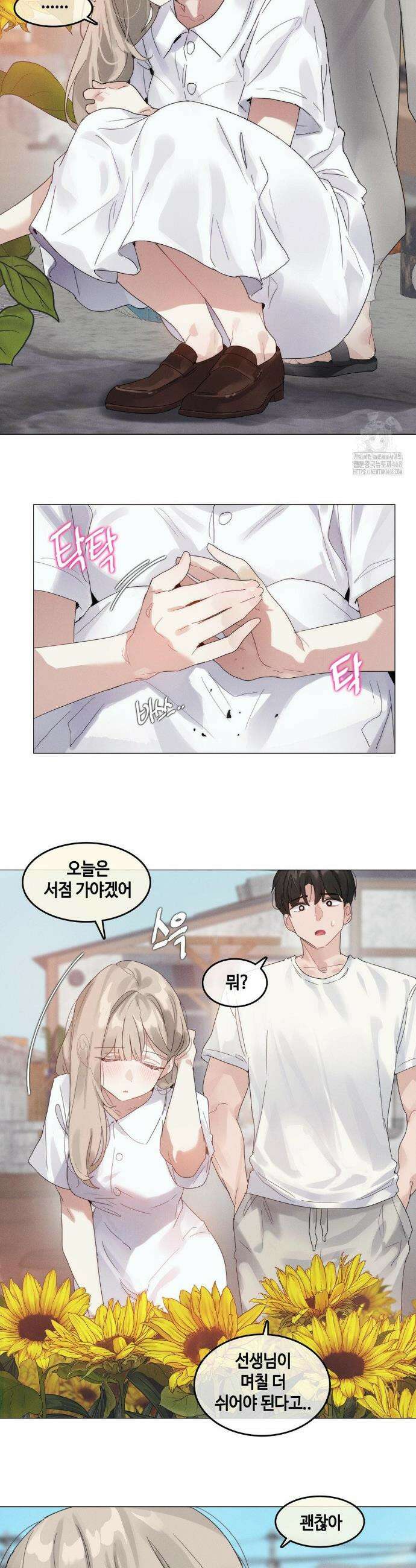 해바라기가 속삭이는 계절에 9화 6