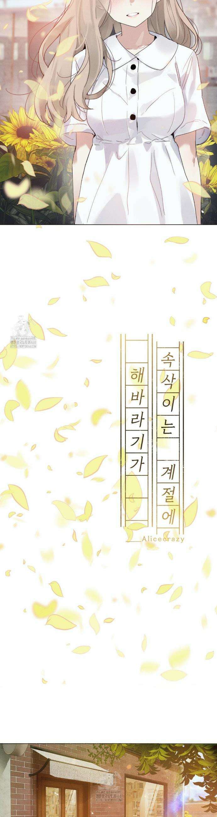 해바라기가 속삭이는 계절에 9화 8