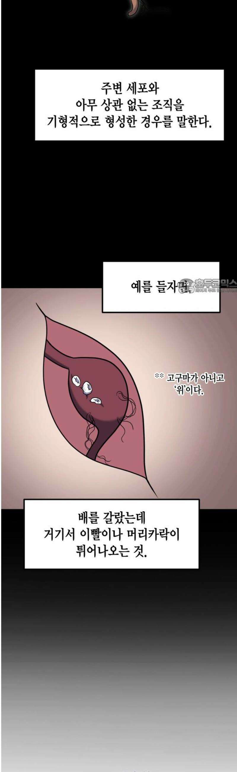 야매 힐러로 사는 법 119화 11