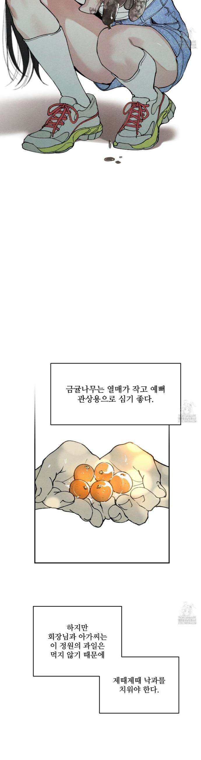 토이 대디(TOY DADDY) 10화 10