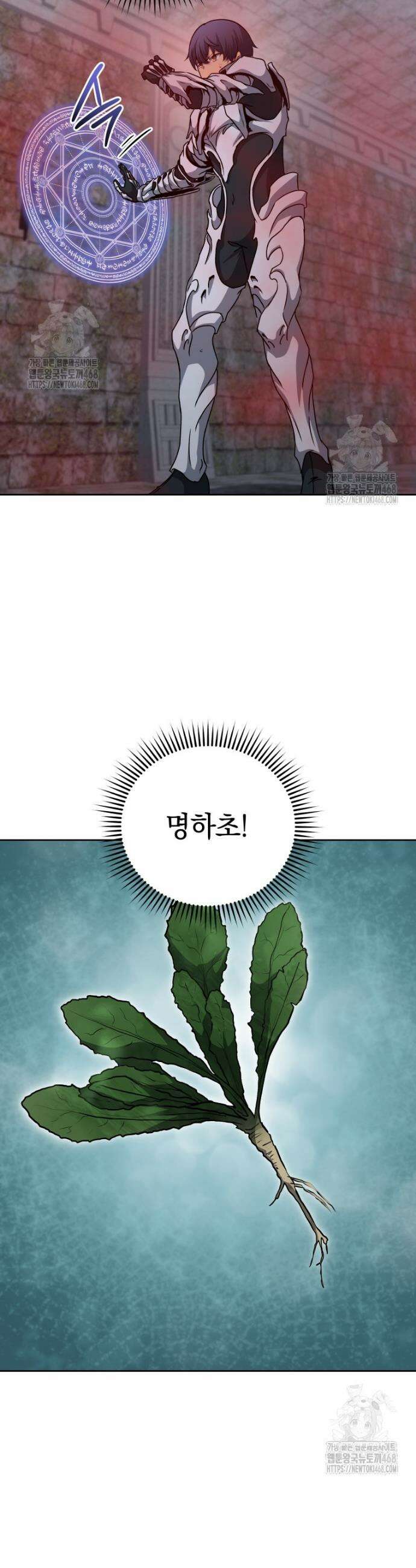 네크로맨서 학교의 소환천재 206화 45