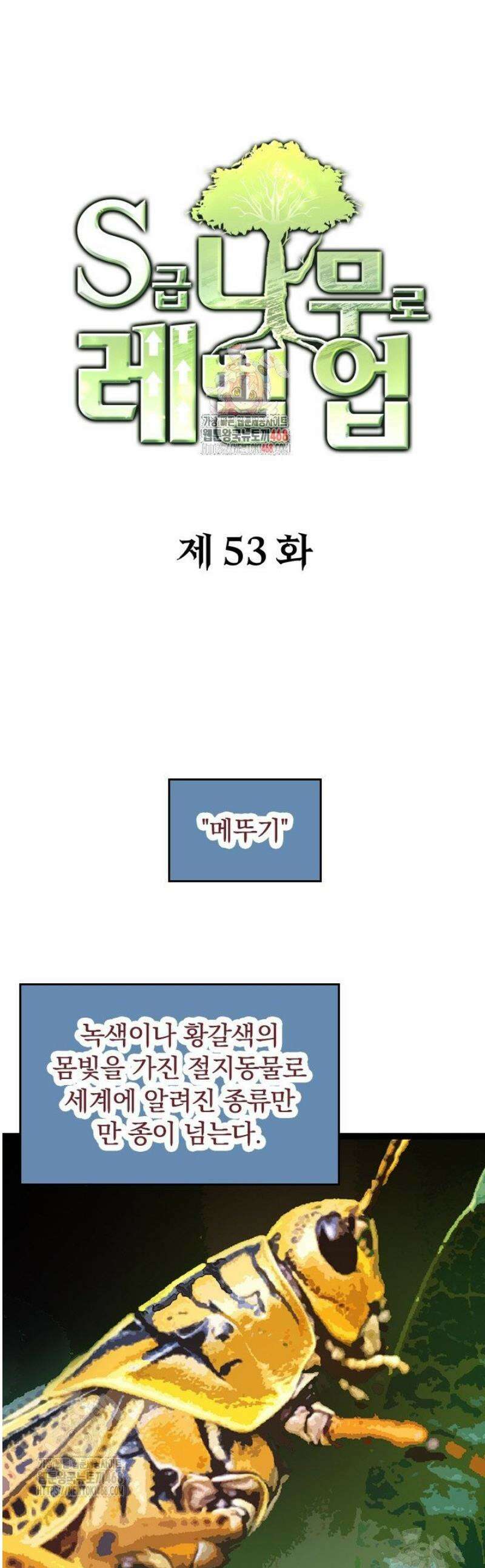 S급 나무로 레벨업 53화 1