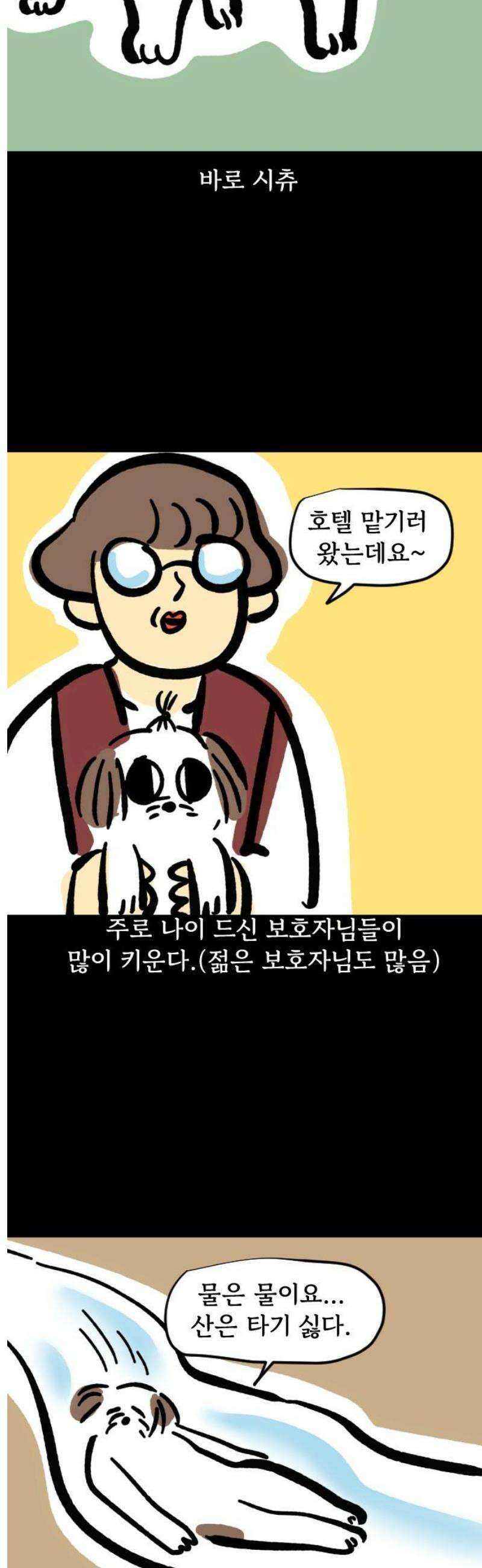 개집사 135화: 알바 특집?견종 특집?-시츄편 3