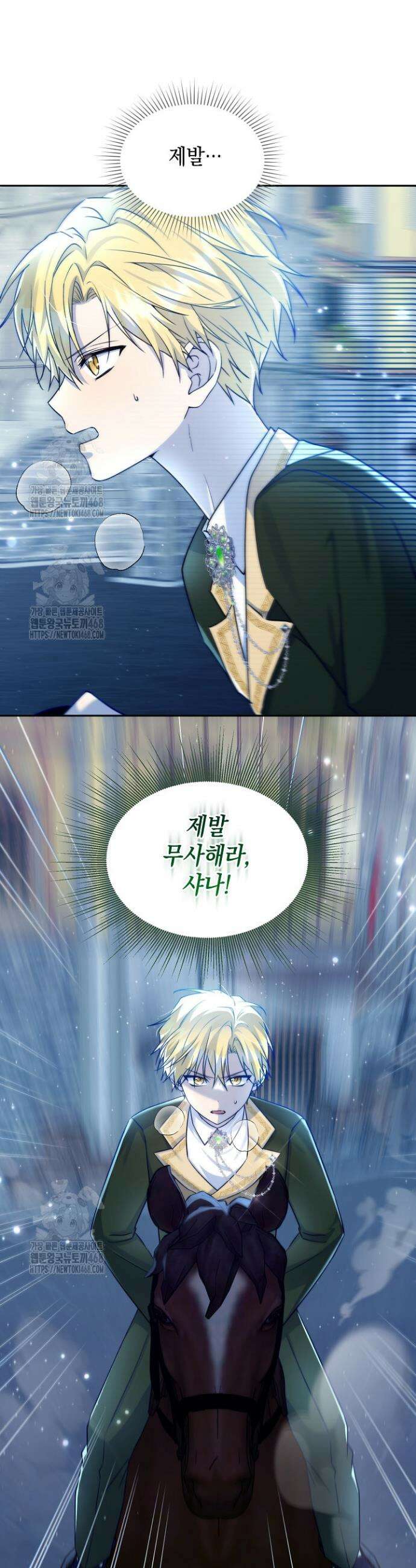 이세계에서 불법으로 동물병원을 개원했습니다 17화 12