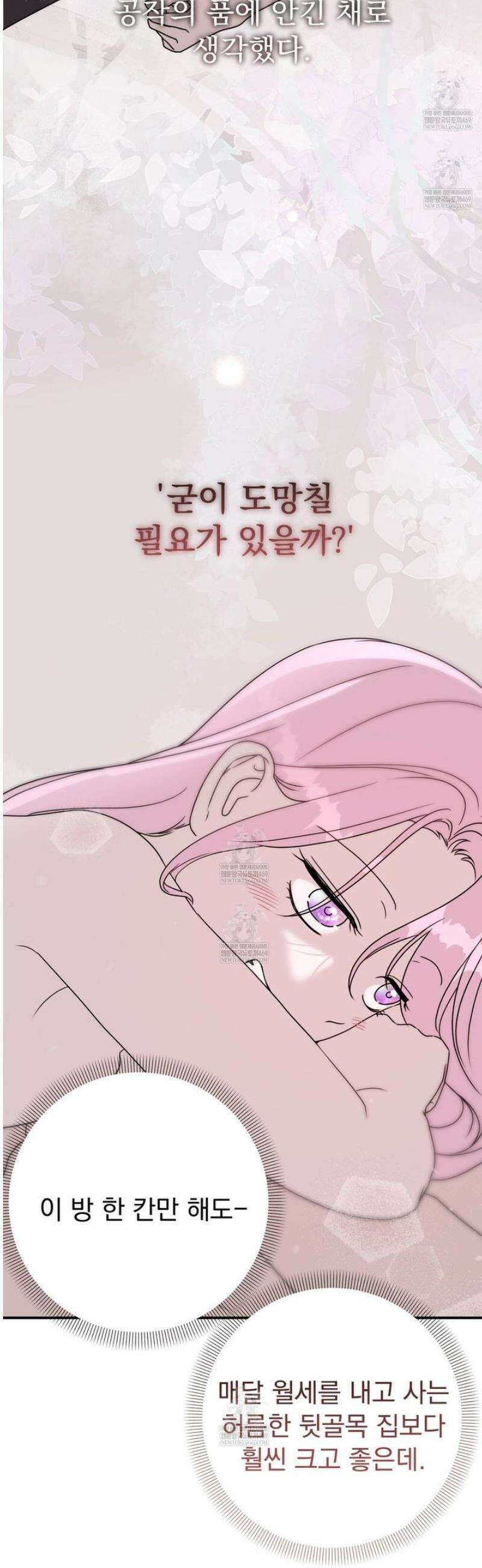 공작가의 보물을 훔쳐 달아나면 3화 6