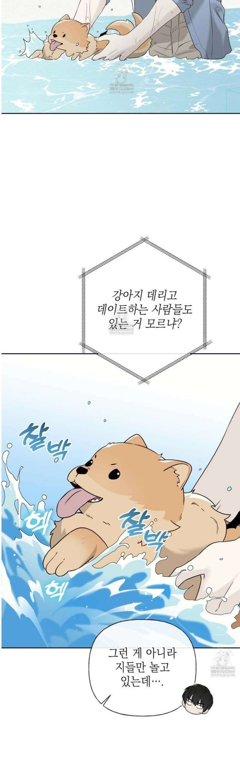 가이딩 해저드 62화 6