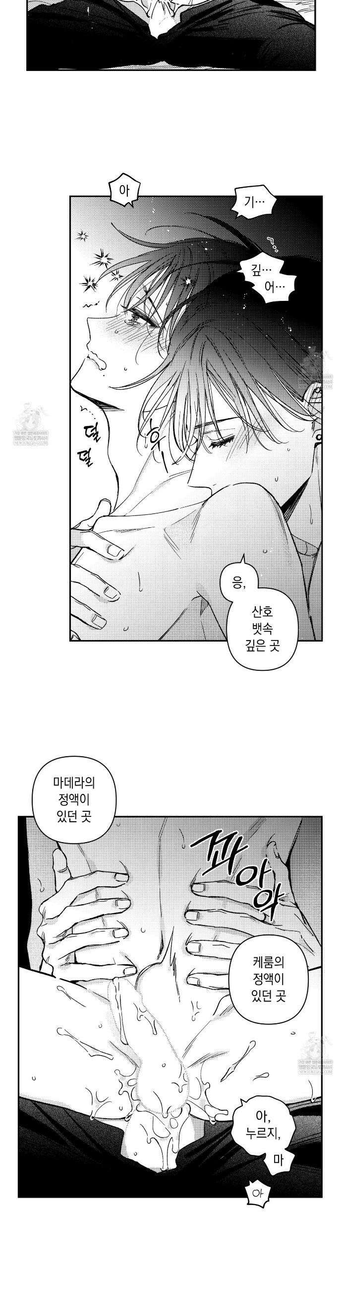 바다 밑 산호 속에는 42화 8