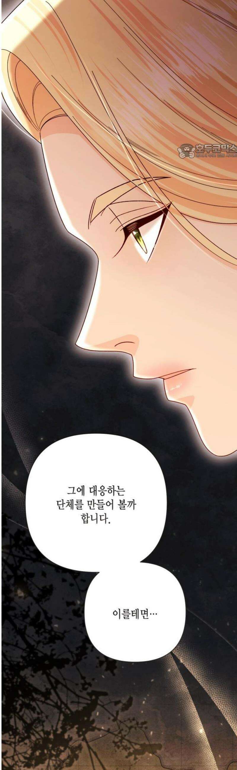 재혼 황후 237화 39
