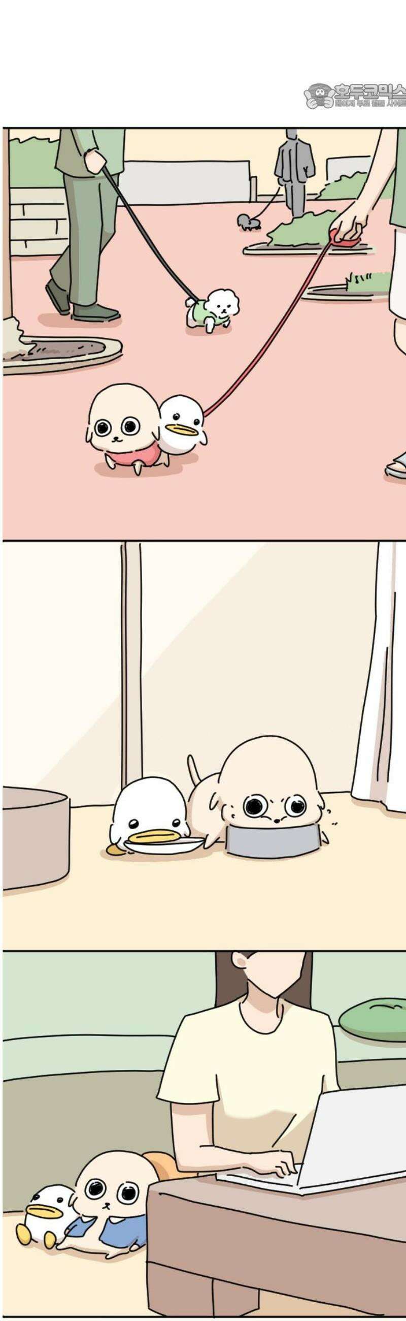 오리짱! 7화 함께 살게 되기까지(7) 22
