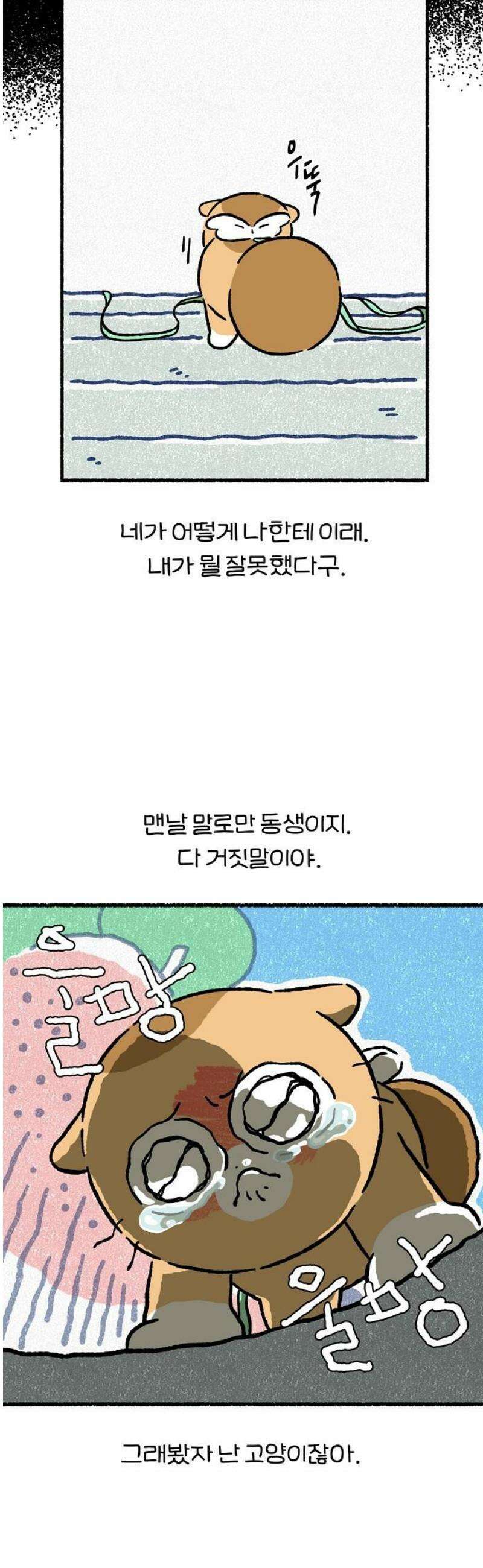 천재, 만재, 백재! 45화 형제의 난(3) 6