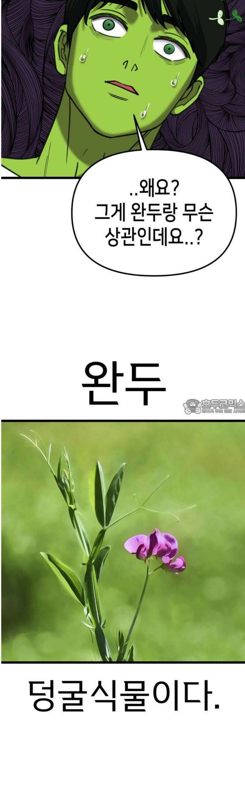 너의 완두콩을 먹고 싶어! 27화 - 완두 혼혈이 아니었다면 13