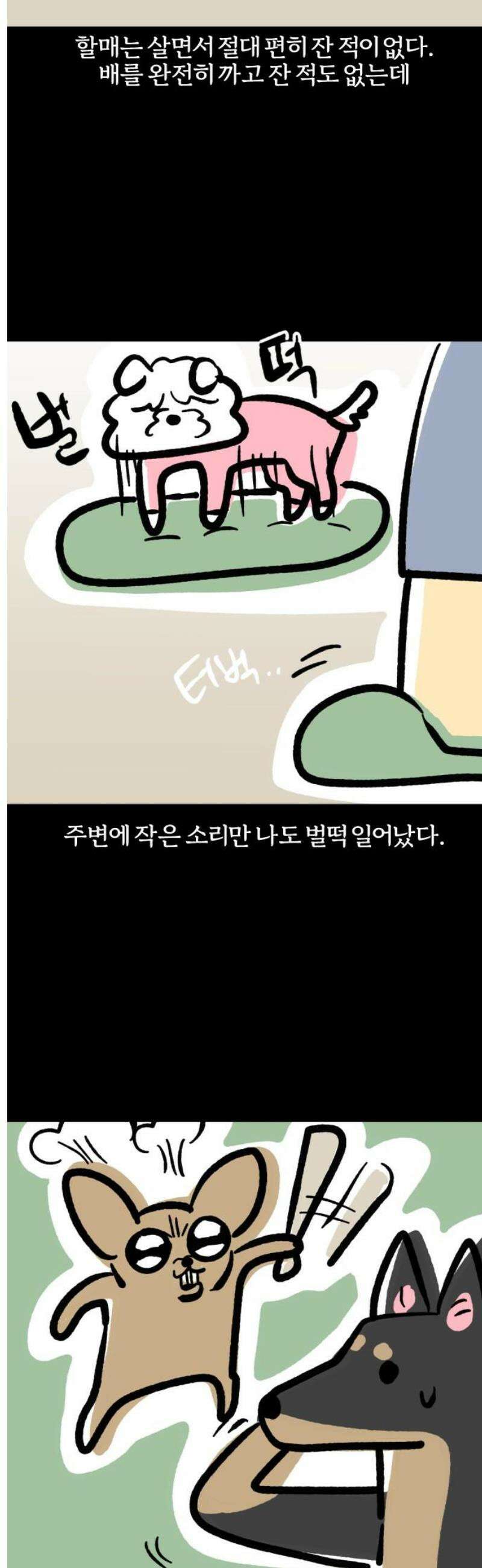 개집사 143화: 쉿! 7