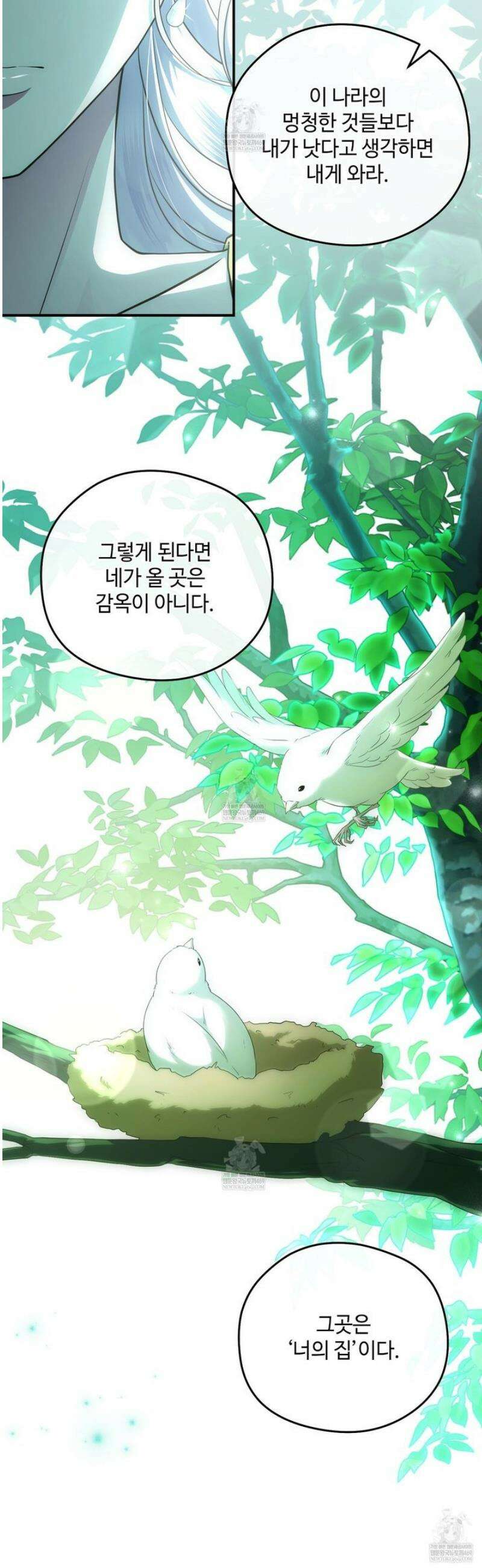 후원에 핀 제비꽃 82화 24