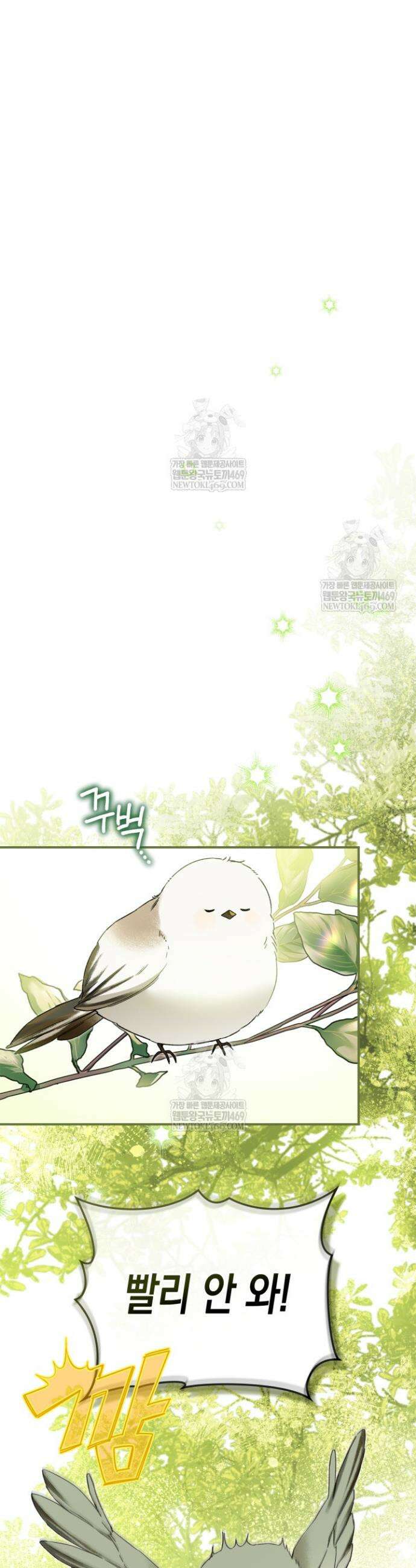 눈먼 공작과 약혼했다 8화 20