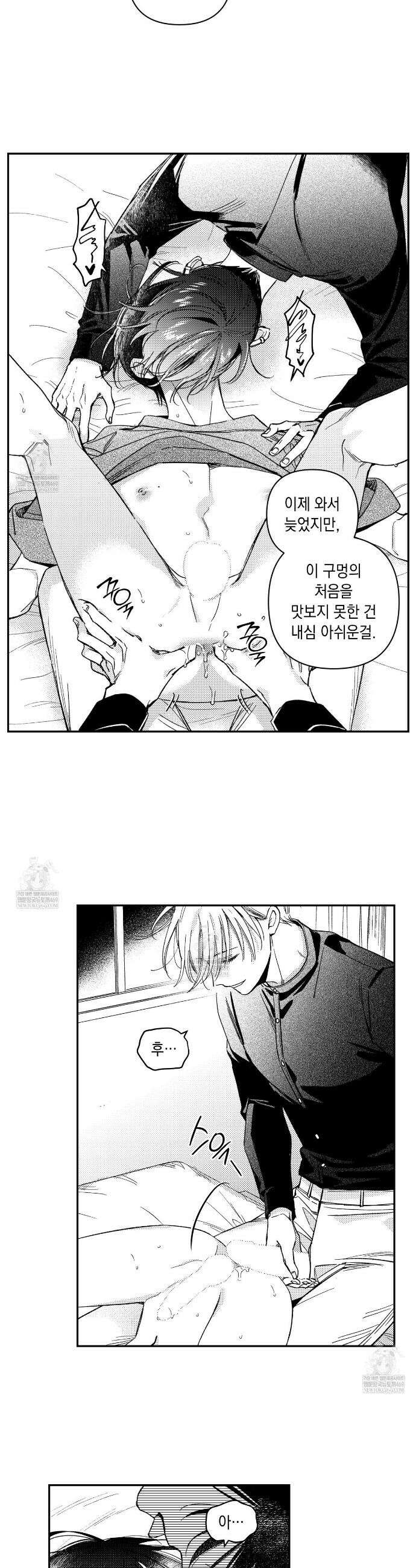 바다 밑 산호 속에는 49화 19