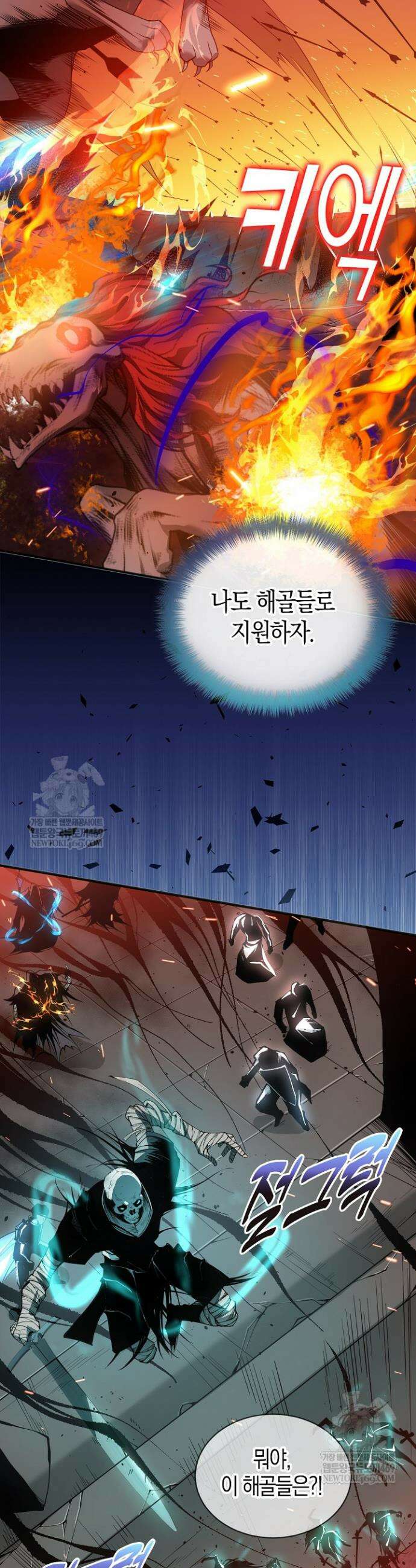 유일무이의 네크로맨서 45화 30