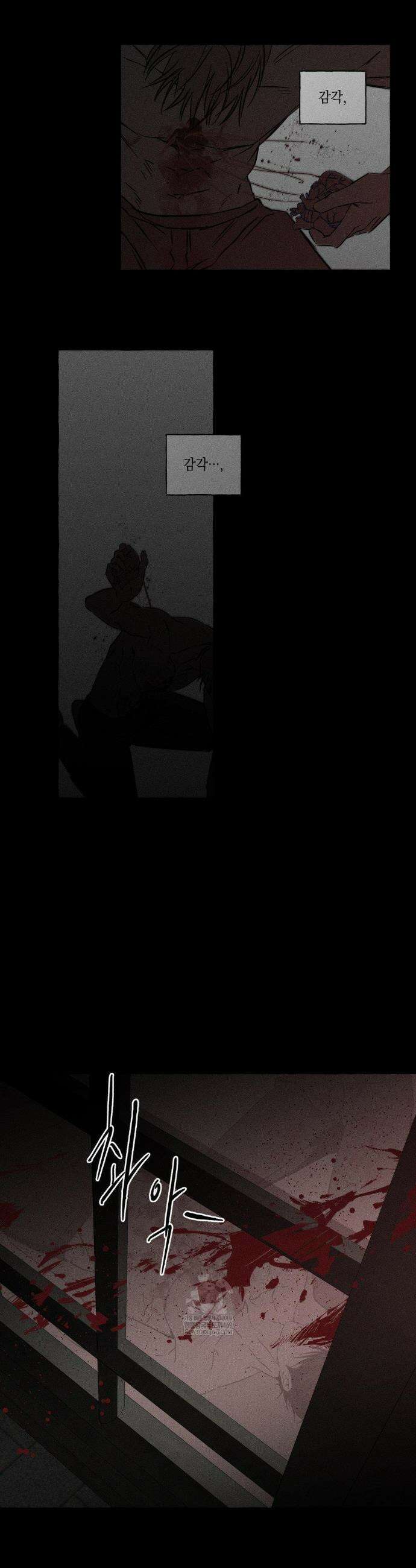 뼈와 꽃잎 72화 14