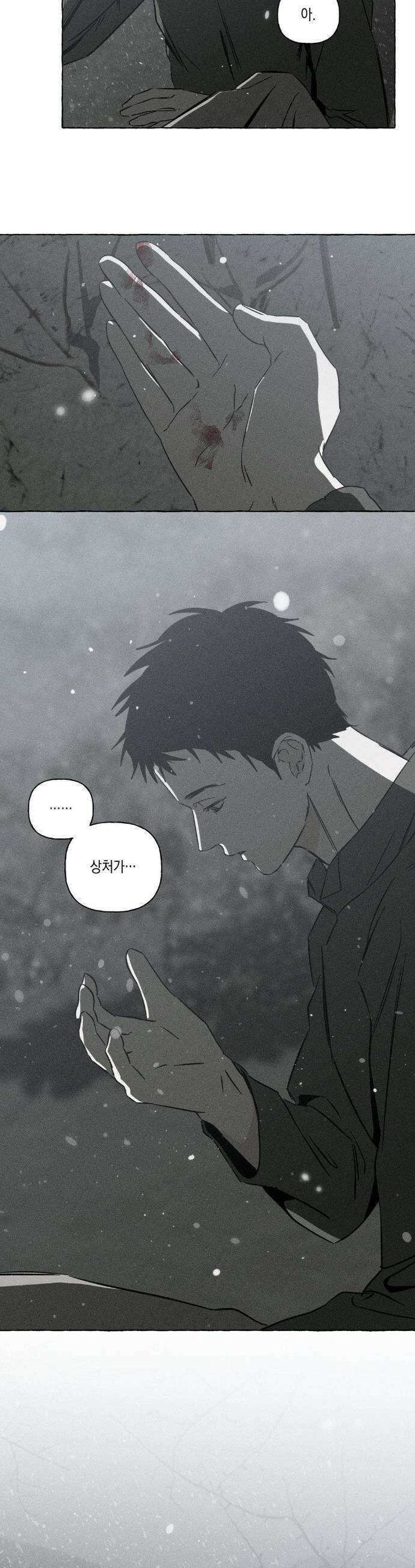 뼈와 꽃잎 72화 24