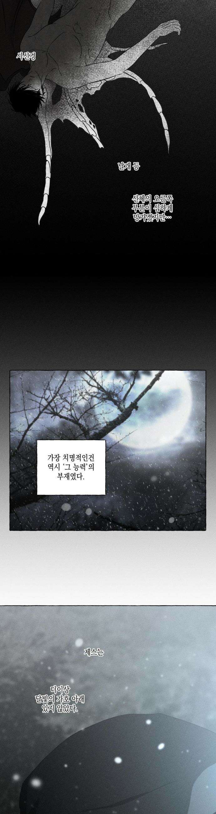 뼈와 꽃잎 72화 28