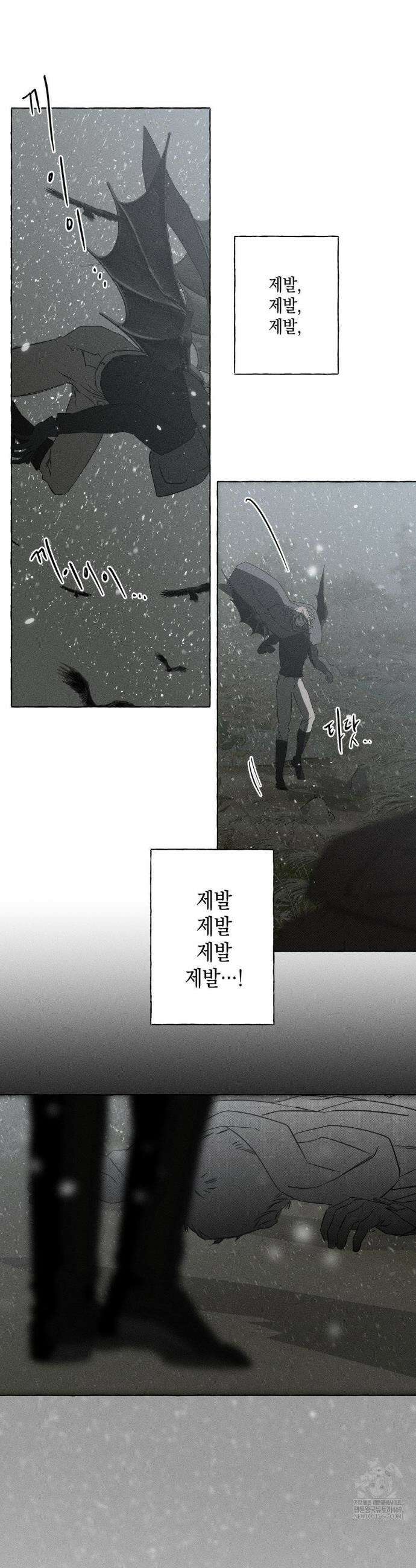 뼈와 꽃잎 72화 34