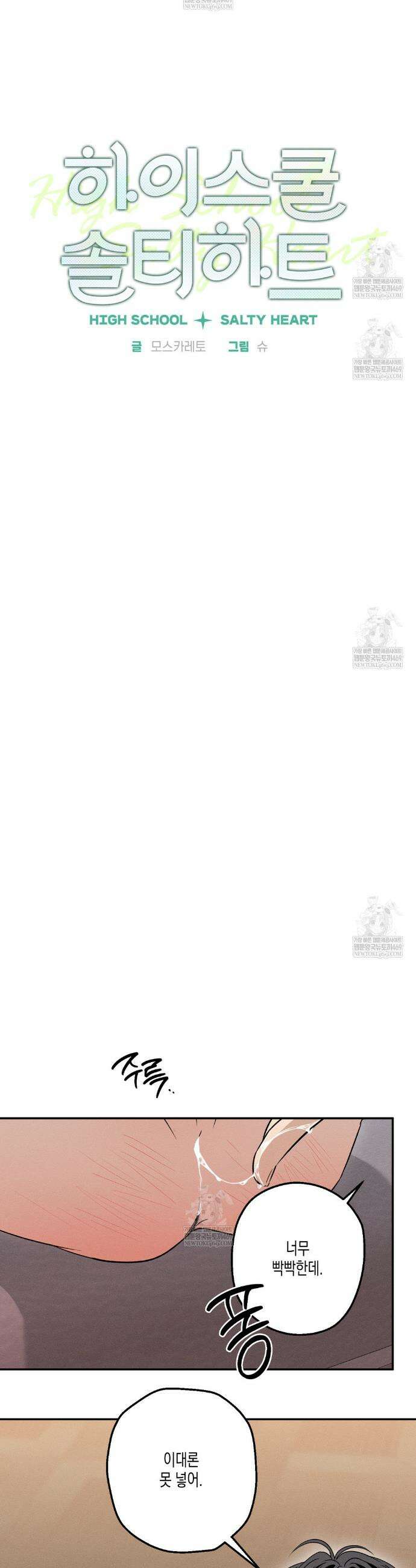하이스쿨 솔티 하트 13화 15