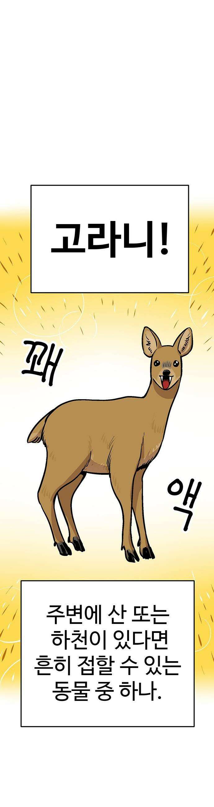 꽤애액 - 1화 4
