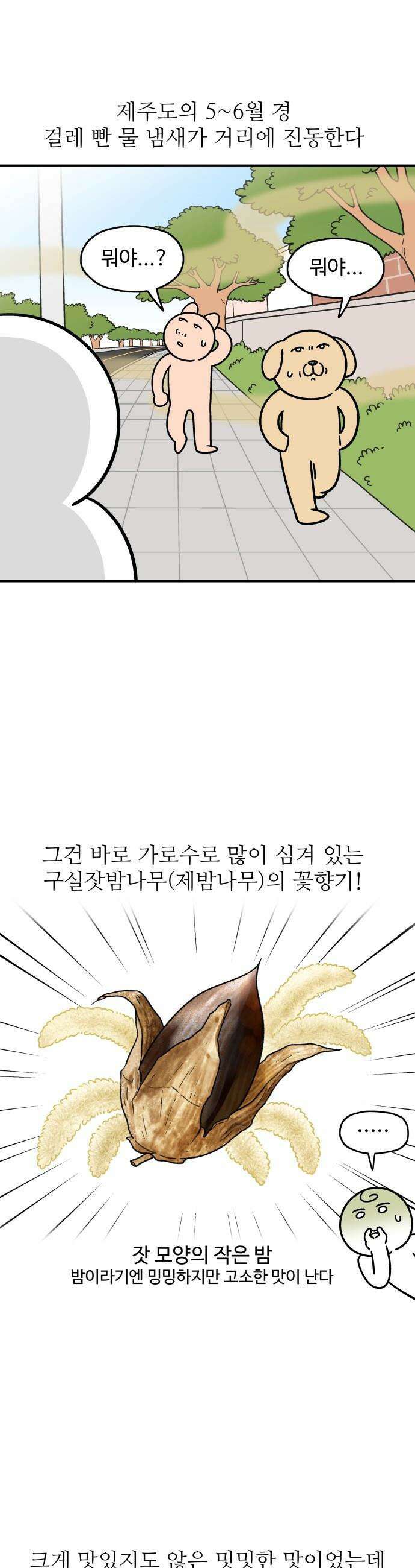 먹는 인생2 - 31화 산딸기잼과 스콘 1