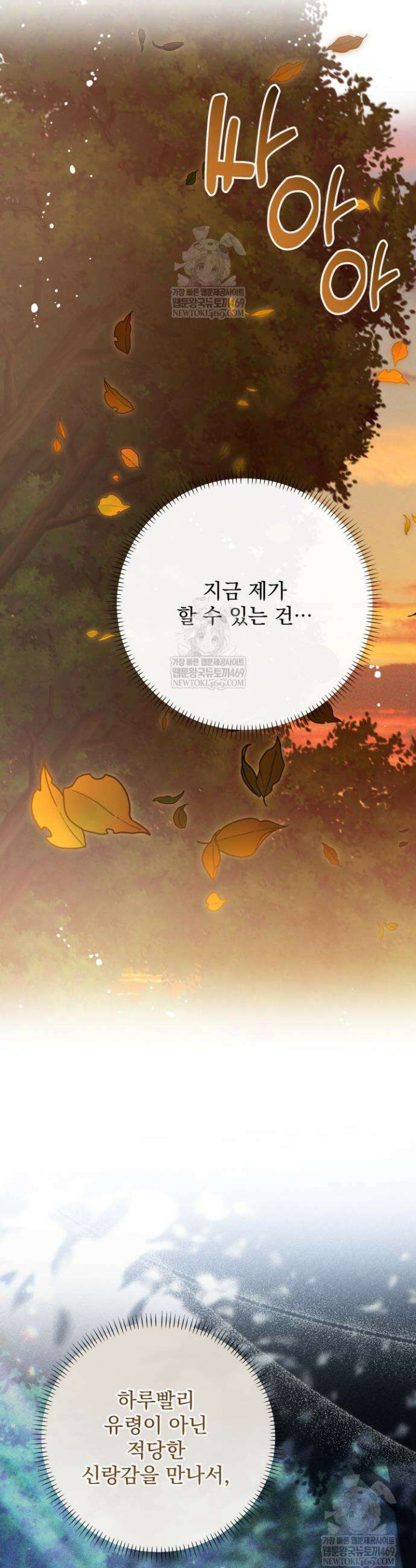 새벽의 소네트 13화 41