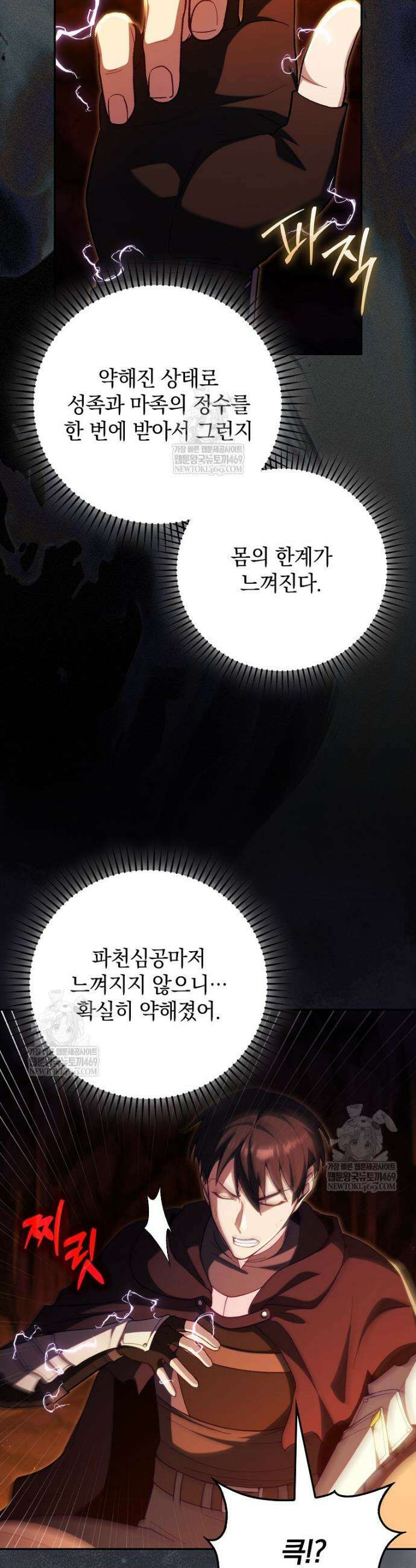 만렙 플레이어 133화 3