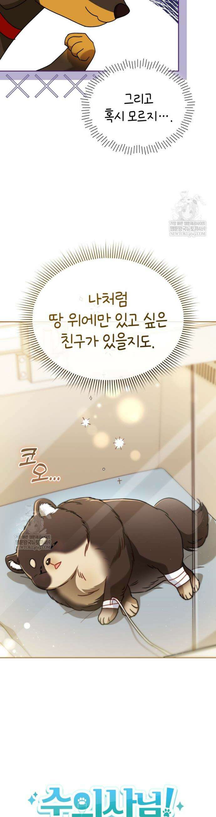 수의사님! 안녕하세요? 129화 13