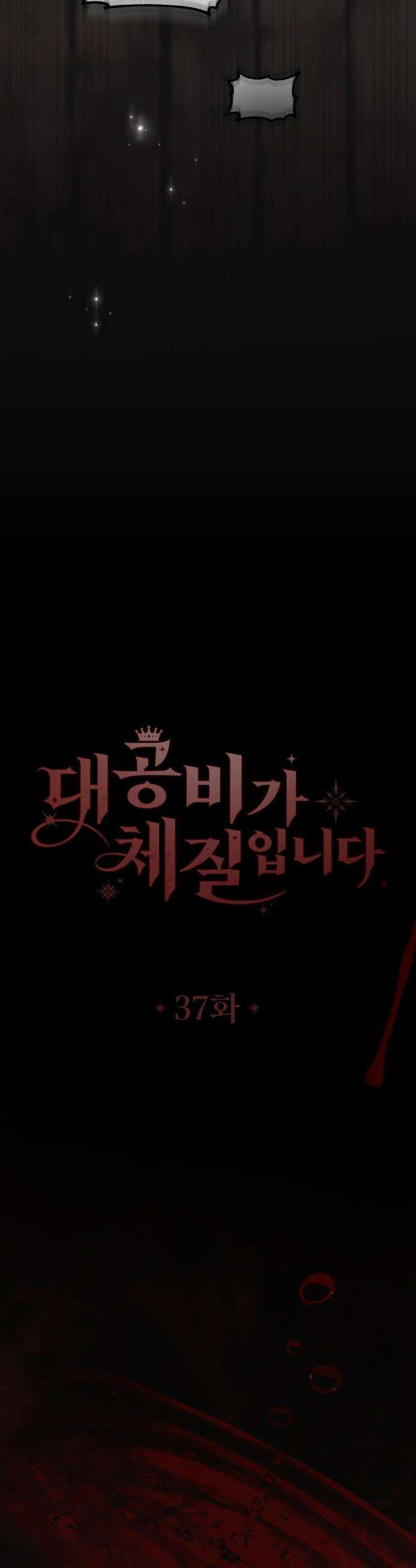 대공비가 체질입니다 - 37화 5