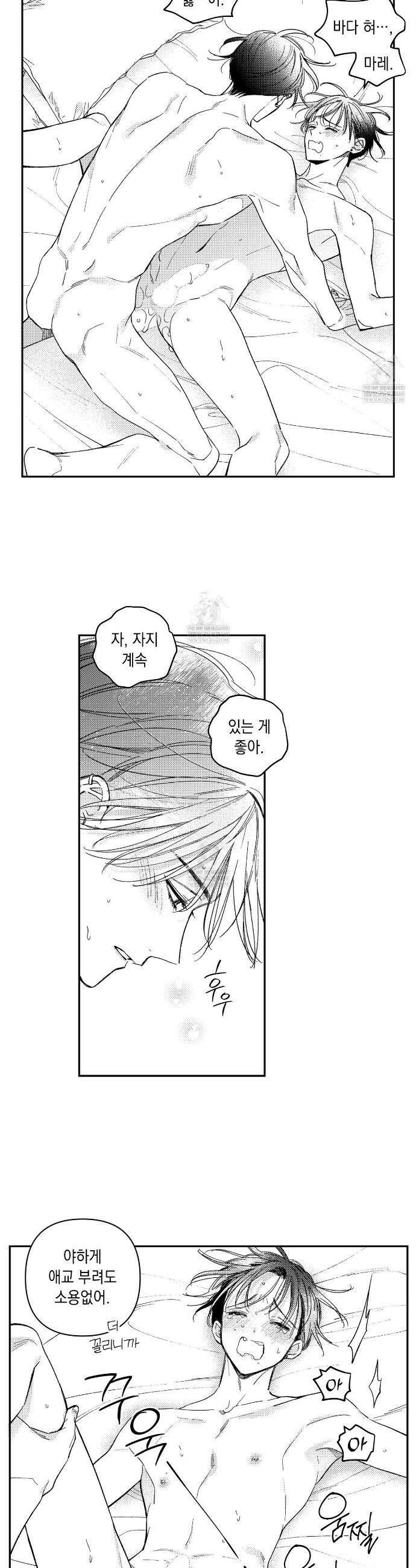 바다 밑 산호 속에는 65화(완결) 6