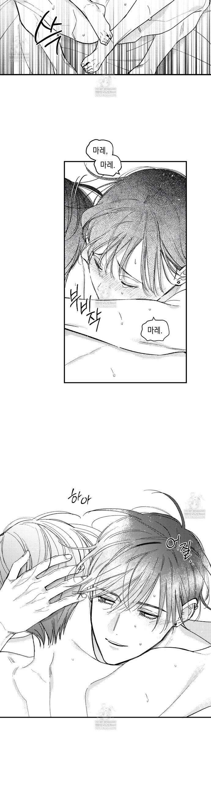 바다 밑 산호 속에는 65화(완결) 16