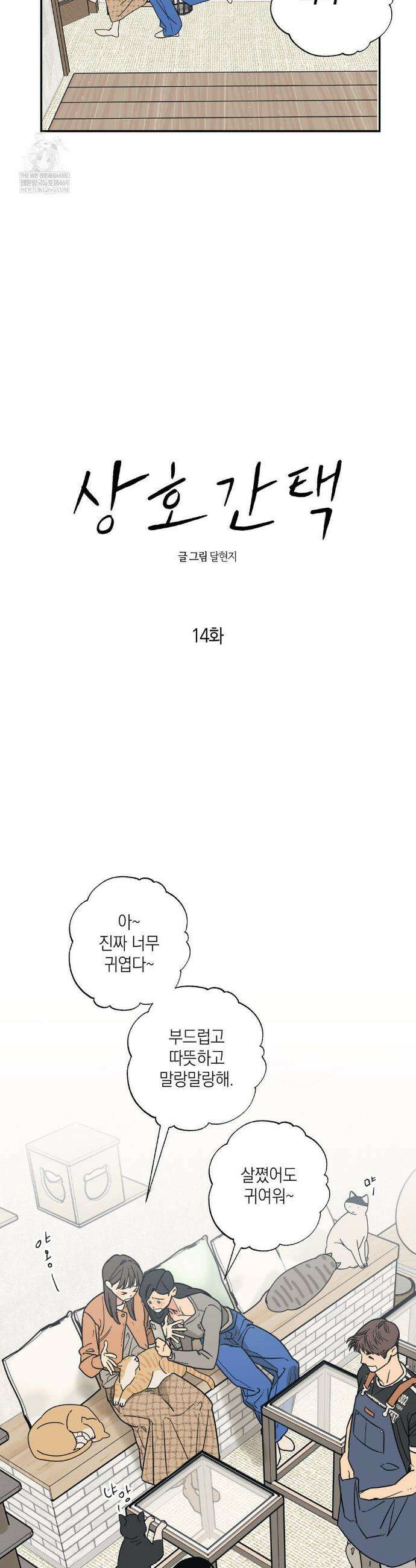상호간택 14화 3