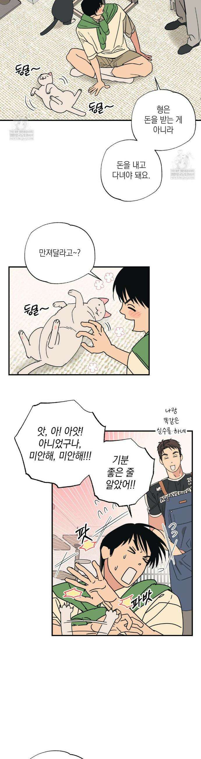 상호간택 14화 4