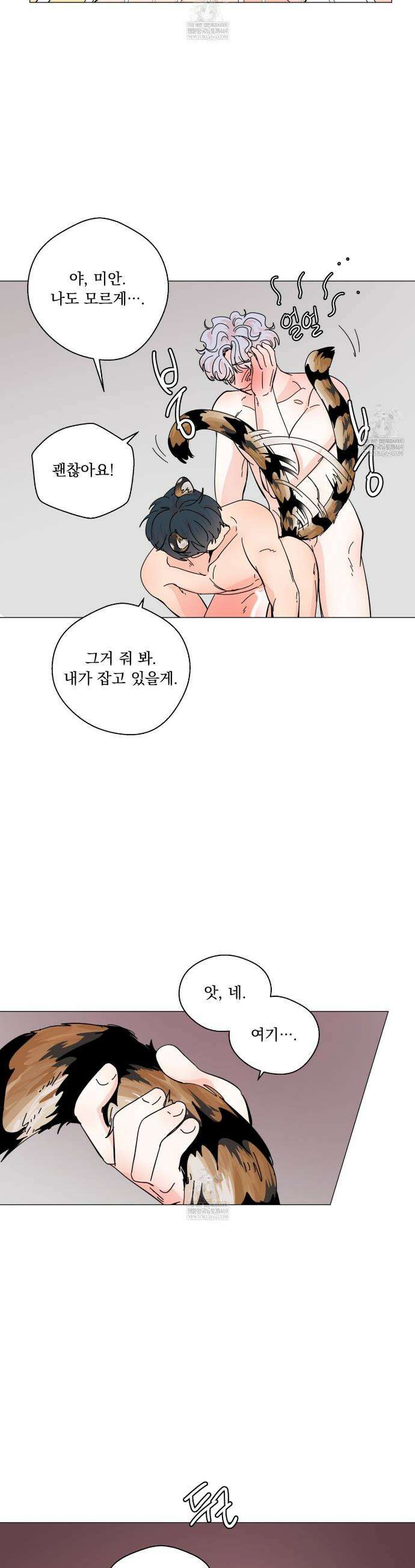호랑이 생일 떡 21화 5
