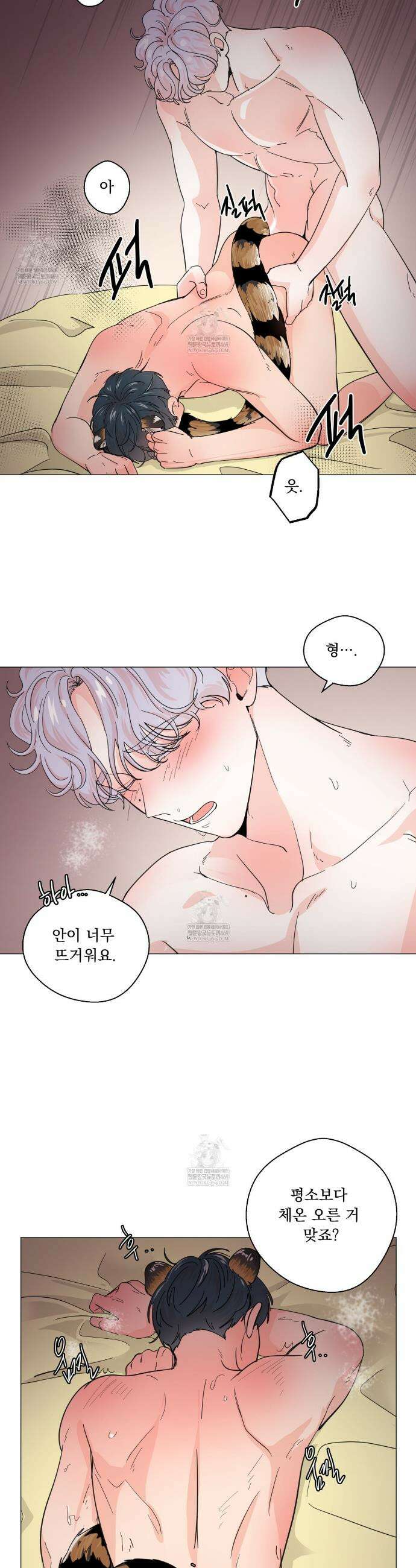 호랑이 생일 떡 21화 8