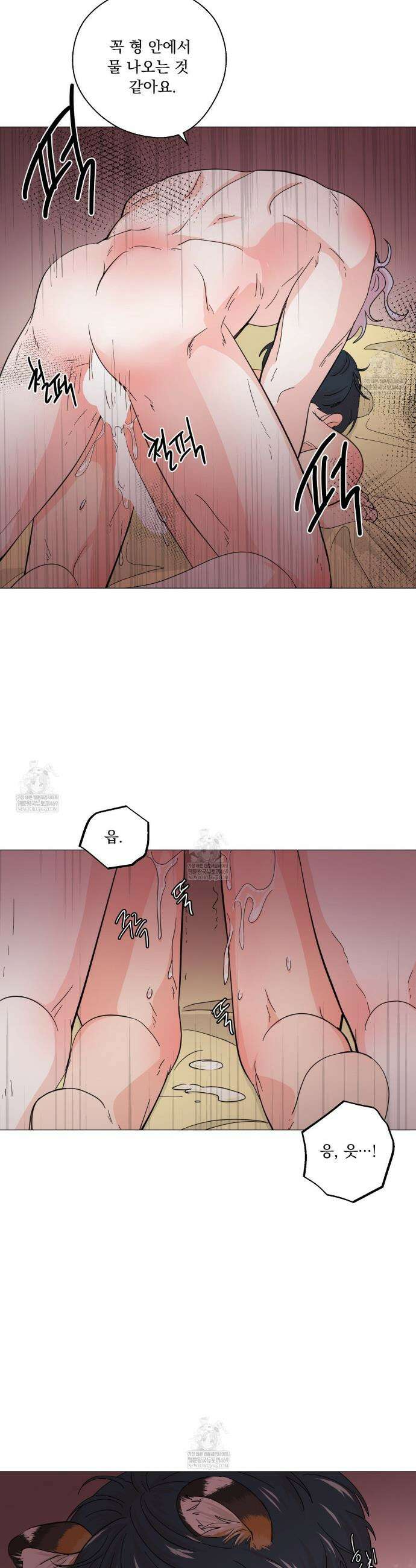 호랑이 생일 떡 21화 11