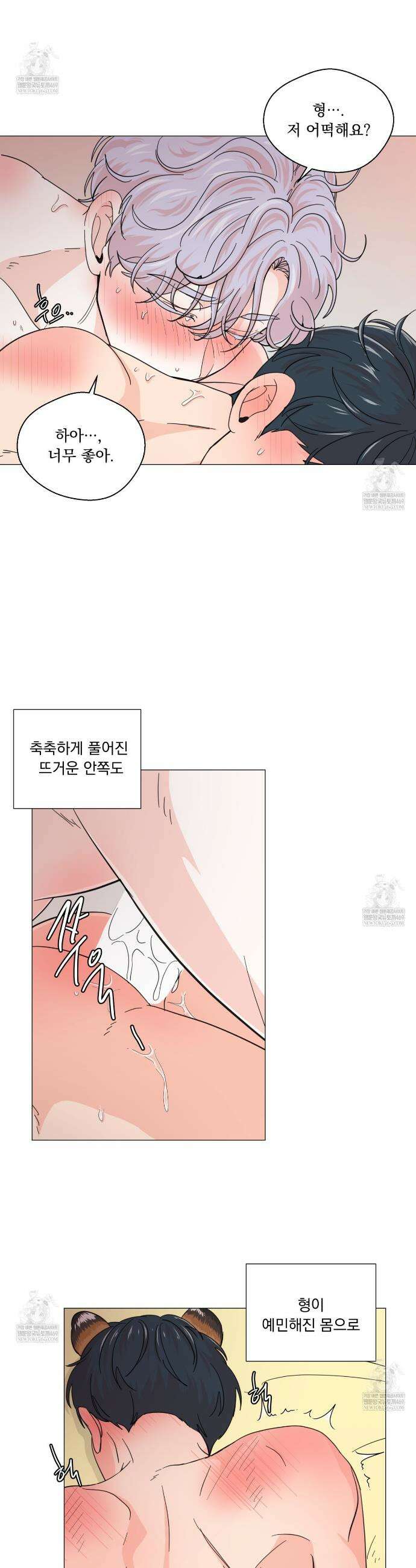 호랑이 생일 떡 21화 18