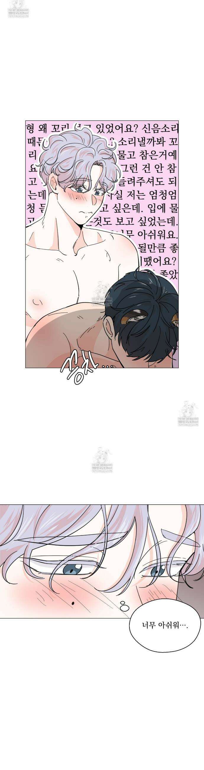 호랑이 생일 떡 21화 21