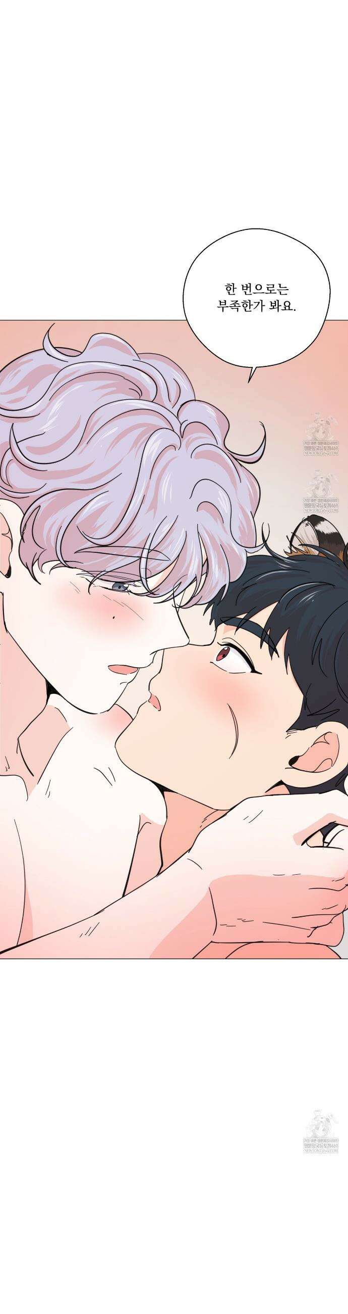 호랑이 생일 떡 21화 26