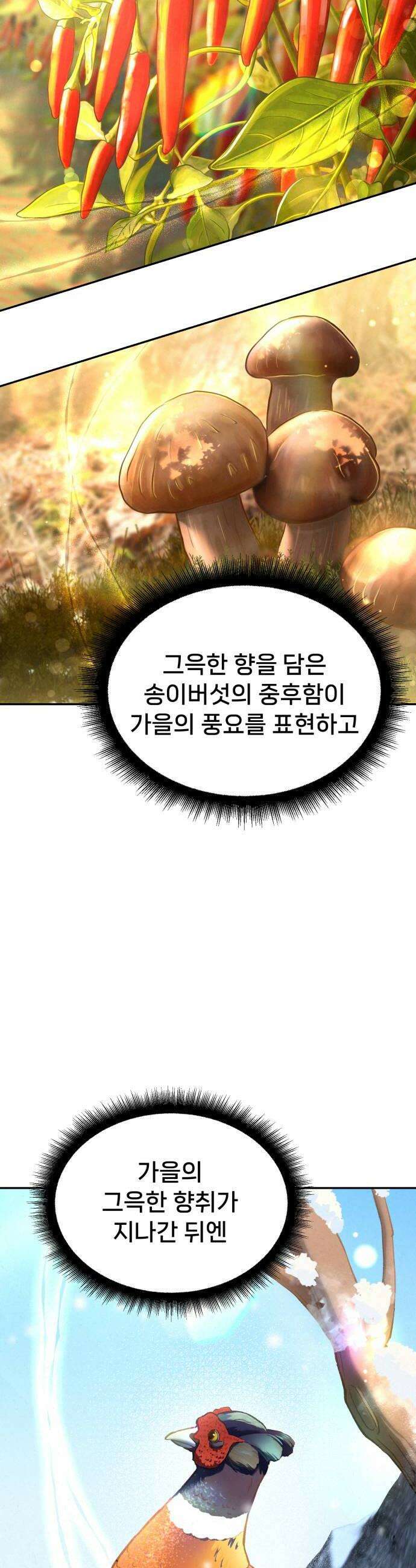 신의 요리 41화  본선 1경기 조화8 28