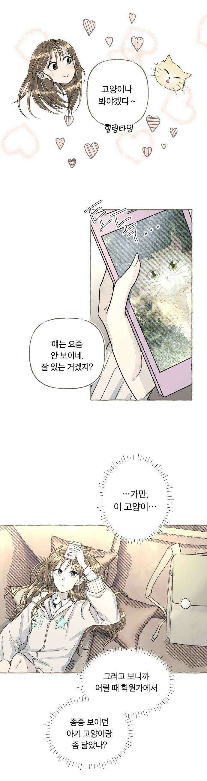아이캣치유 23 운명의 장난 46