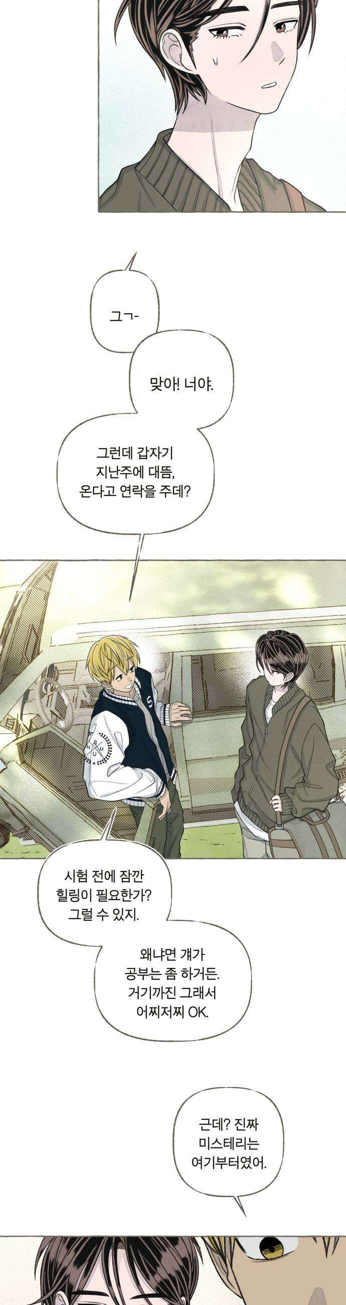 아이캣치유 25 청색편이 15