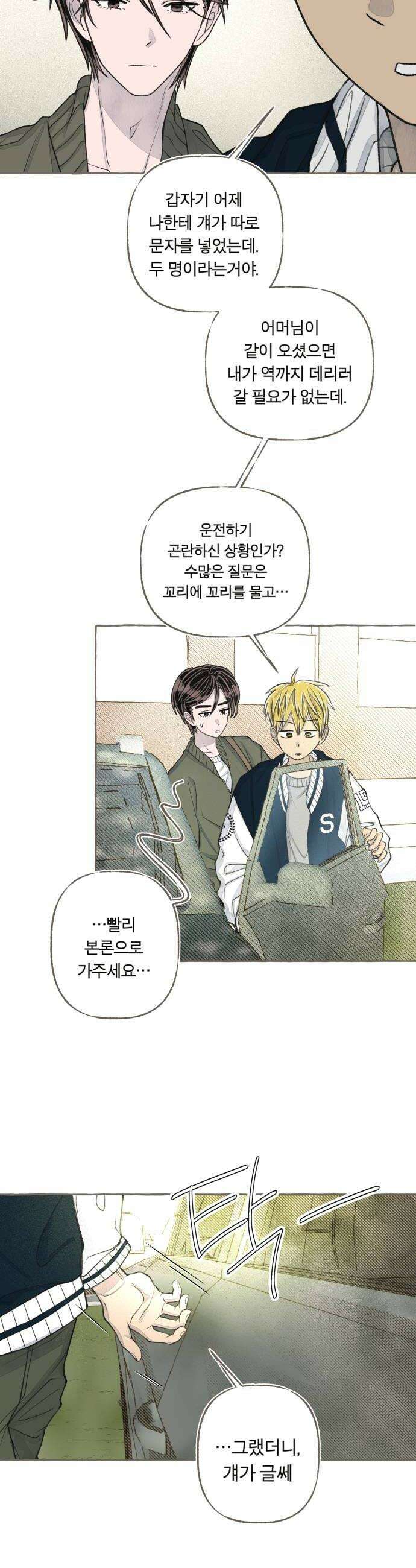 아이캣치유 25 청색편이 16