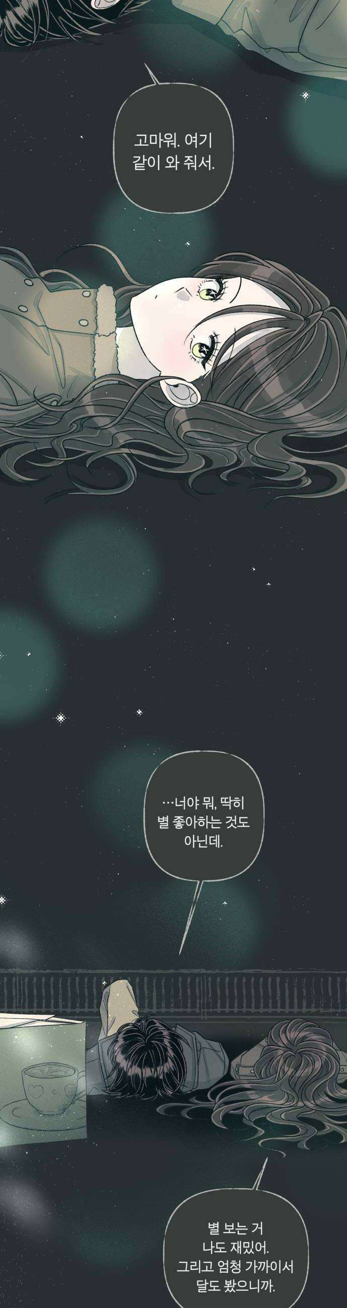 아이캣치유 25 청색편이 50