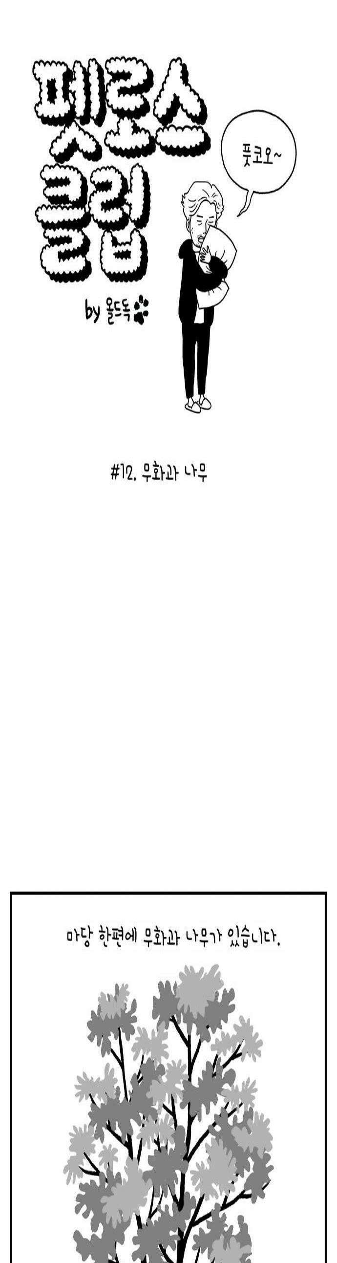 펫로스클럽 12 무화과 나무 1