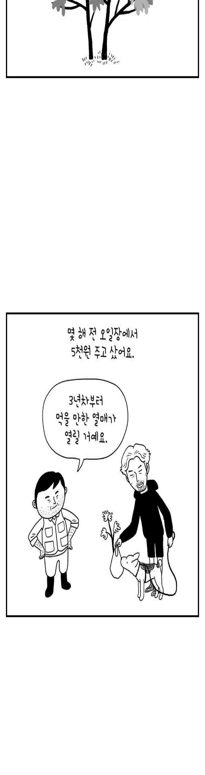펫로스클럽 12 무화과 나무 2