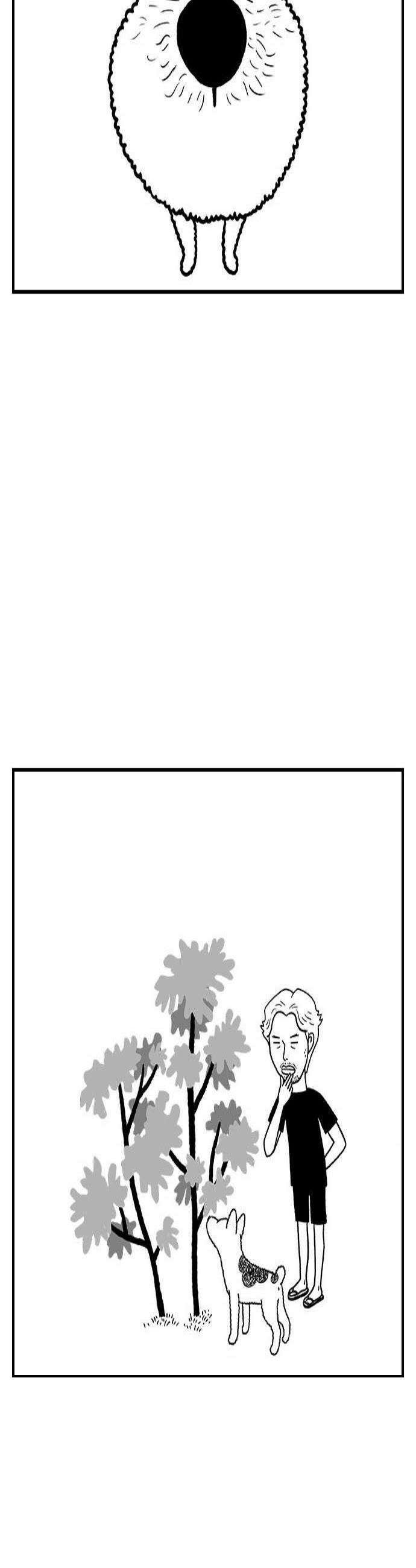 펫로스클럽 12 무화과 나무 4