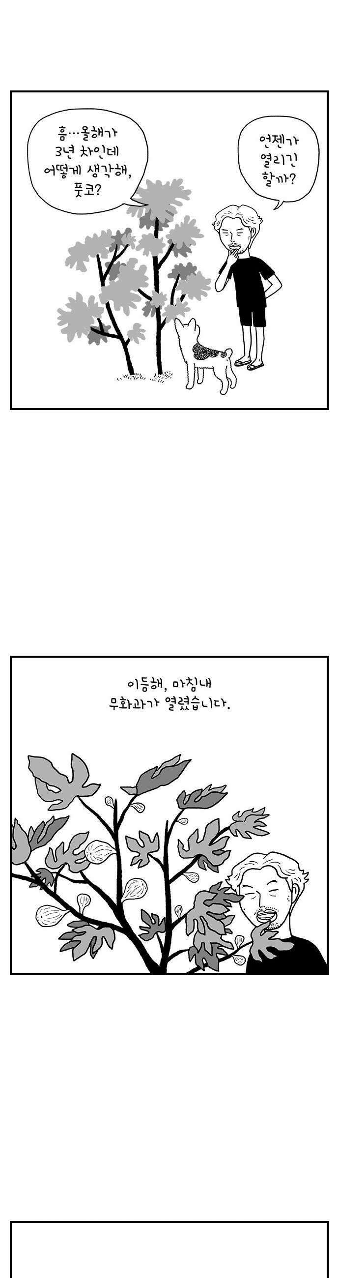 펫로스클럽 12 무화과 나무 5